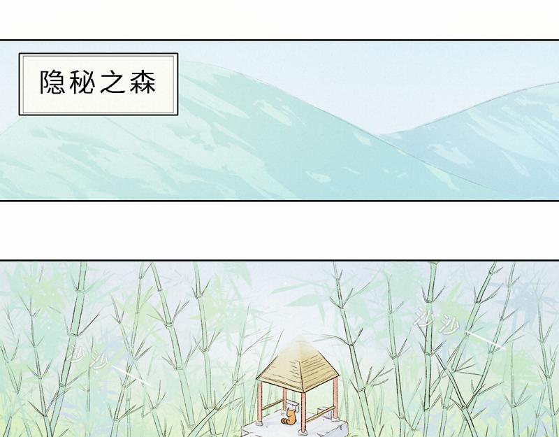 《我家有只小熊猫》番外1《不期而遇》 隐秘之森 第3页