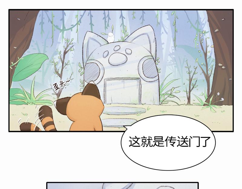 《我家有只小熊猫》番外1《不期而遇》 隐秘之森 第44页