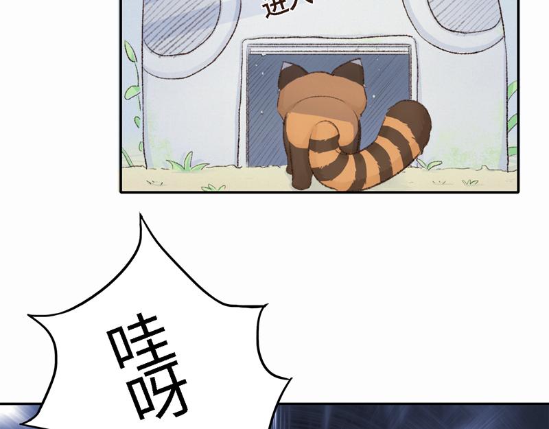 《我家有只小熊猫》番外1《不期而遇》 隐秘之森 第48页