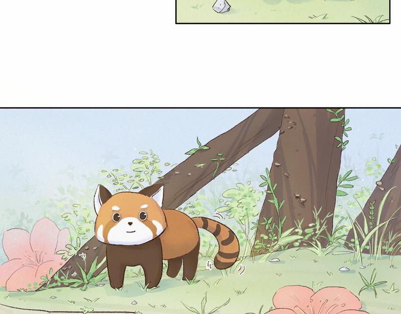 《我家有只小熊猫》番外1《不期而遇》 隐秘之森 第6页