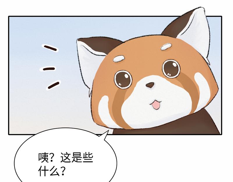 《我家有只小熊猫》番外2《不期而遇》初到城市 第10页