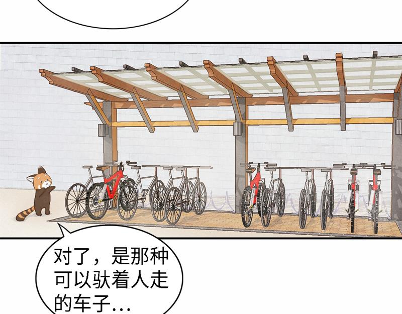《我家有只小熊猫》番外2《不期而遇》初到城市 第11页