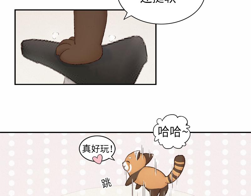 《我家有只小熊猫》番外2《不期而遇》初到城市 第13页
