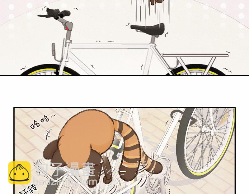 《我家有只小熊猫》番外2《不期而遇》初到城市 第14页
