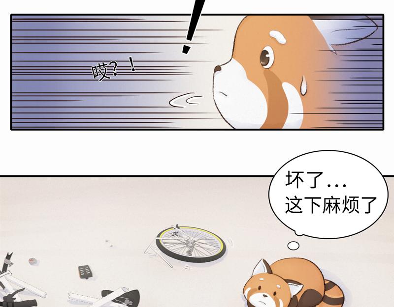 《我家有只小熊猫》番外2《不期而遇》初到城市 第20页