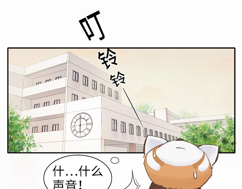 《我家有只小熊猫》番外2《不期而遇》初到城市 第22页