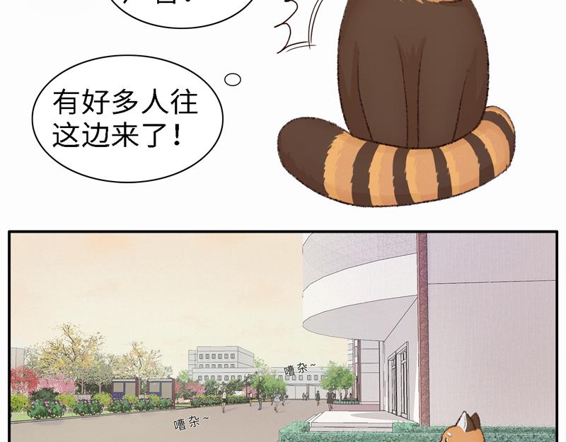 《我家有只小熊猫》番外2《不期而遇》初到城市 第23页