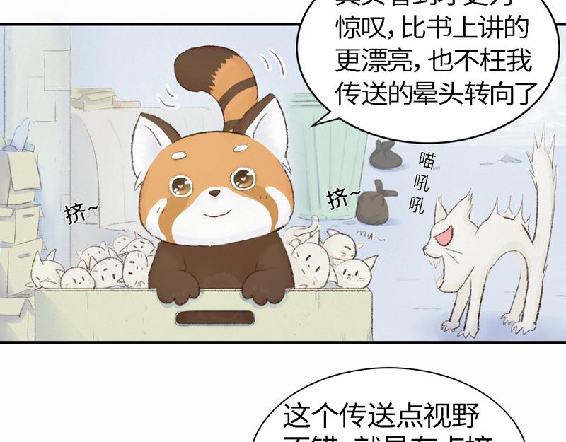 《我家有只小熊猫》番外2《不期而遇》初到城市 第5页