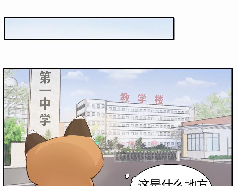 《我家有只小熊猫》番外2《不期而遇》初到城市 第7页