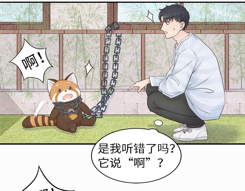 《我家有只小熊猫》番外3《不期而遇》相识 第12页