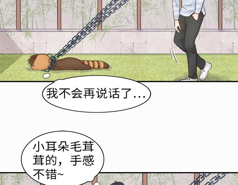 《我家有只小熊猫》番外3《不期而遇》相识 第18页