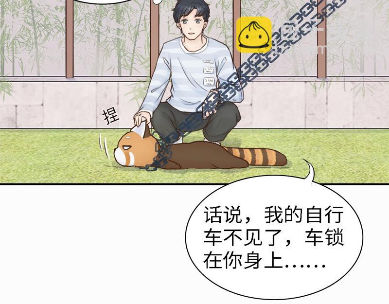 《我家有只小熊猫》番外3《不期而遇》相识 第19页