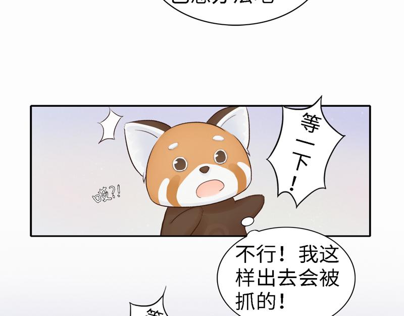 《我家有只小熊猫》番外3《不期而遇》相识 第43页