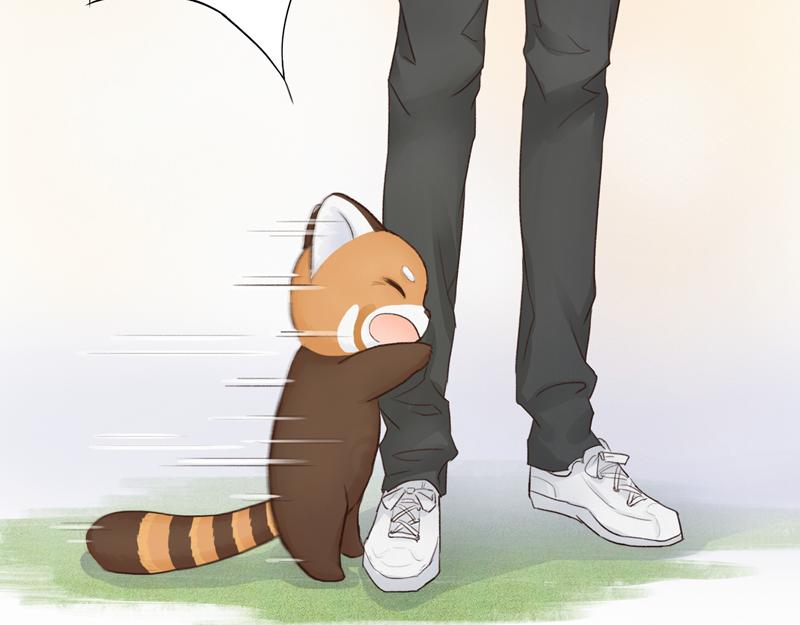 《我家有只小熊猫》番外3《不期而遇》相识 第46页