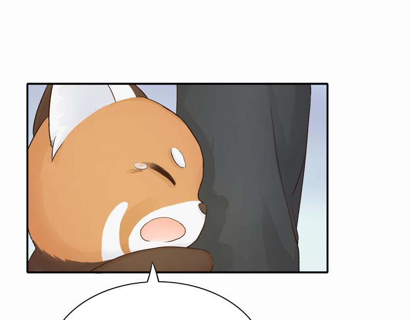 《我家有只小熊猫》番外3《不期而遇》相识 第48页