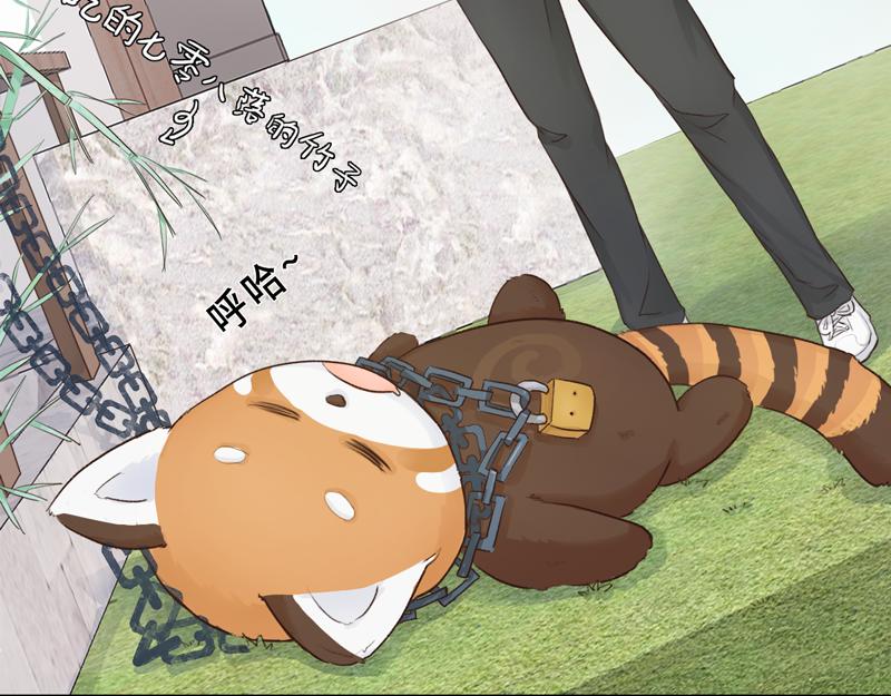 《我家有只小熊猫》番外3《不期而遇》相识 第6页