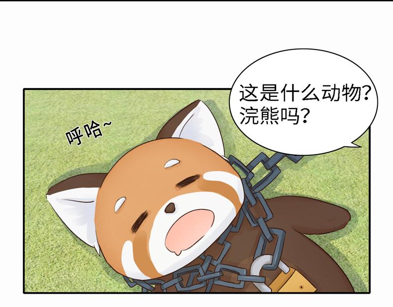 《我家有只小熊猫》番外3《不期而遇》相识 第7页