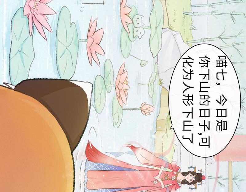 《我家有只小熊猫》番外1《不期而遇》 隐秘之森 第13页