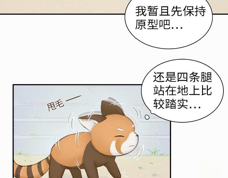 《我家有只小熊猫》番外1《不期而遇》 隐秘之森 第42页