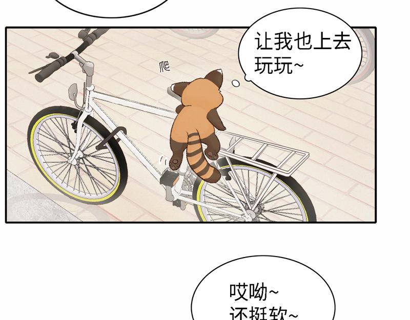 《我家有只小熊猫》番外2《不期而遇》初到城市 第12页