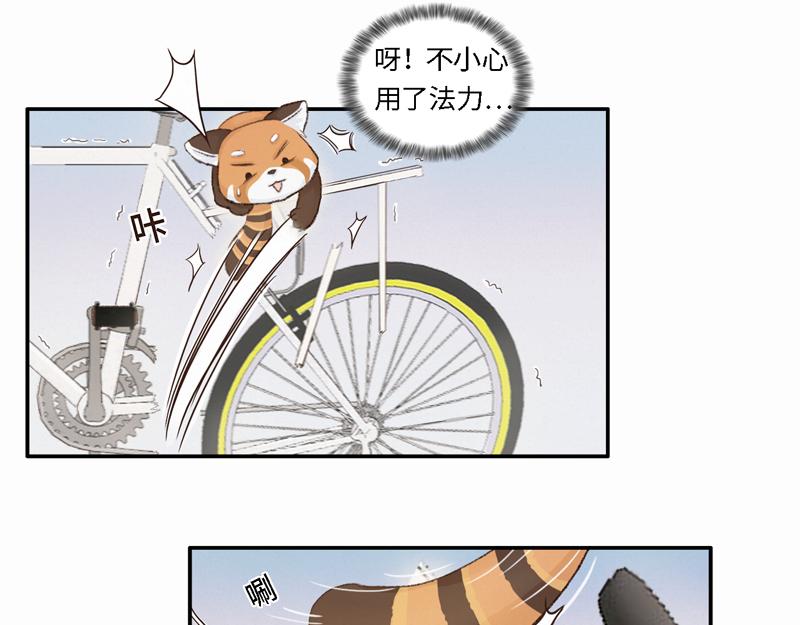 《我家有只小熊猫》番外2《不期而遇》初到城市 第16页