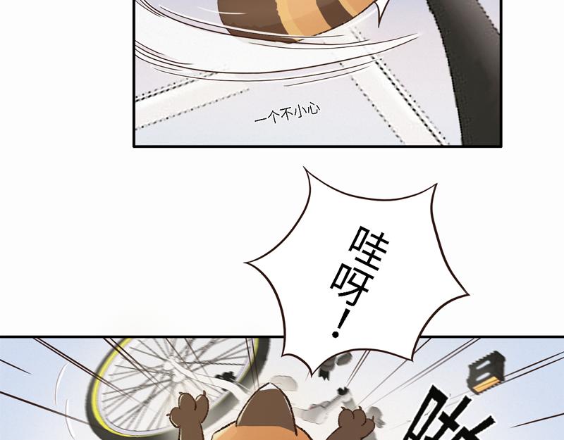 《我家有只小熊猫》番外2《不期而遇》初到城市 第17页