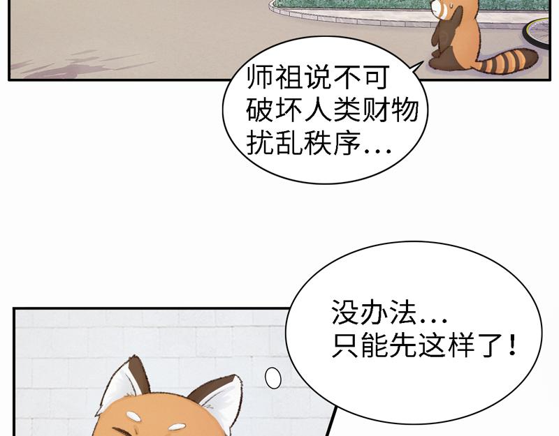 《我家有只小熊猫》番外2《不期而遇》初到城市 第24页