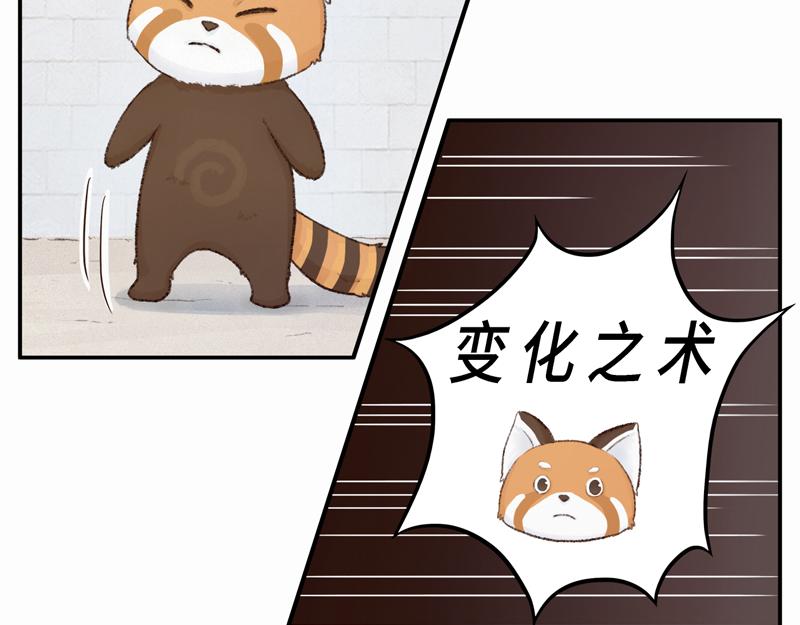 《我家有只小熊猫》番外2《不期而遇》初到城市 第25页
