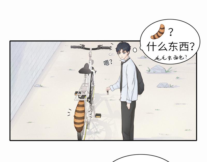 《我家有只小熊猫》番外2《不期而遇》初到城市 第41页