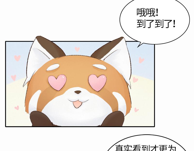 《我家有只小熊猫》番外2《不期而遇》初到城市 第4页