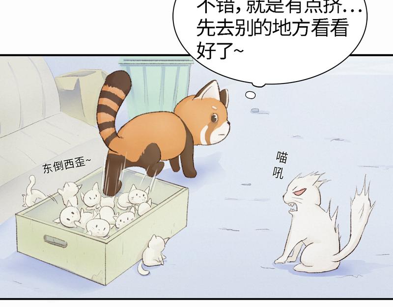 《我家有只小熊猫》番外2《不期而遇》初到城市 第6页