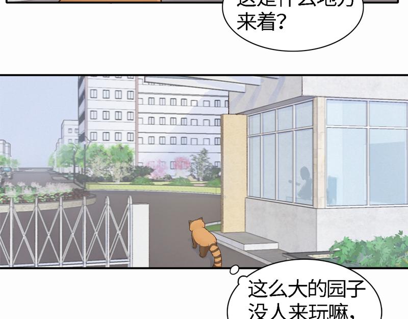 《我家有只小熊猫》番外2《不期而遇》初到城市 第8页