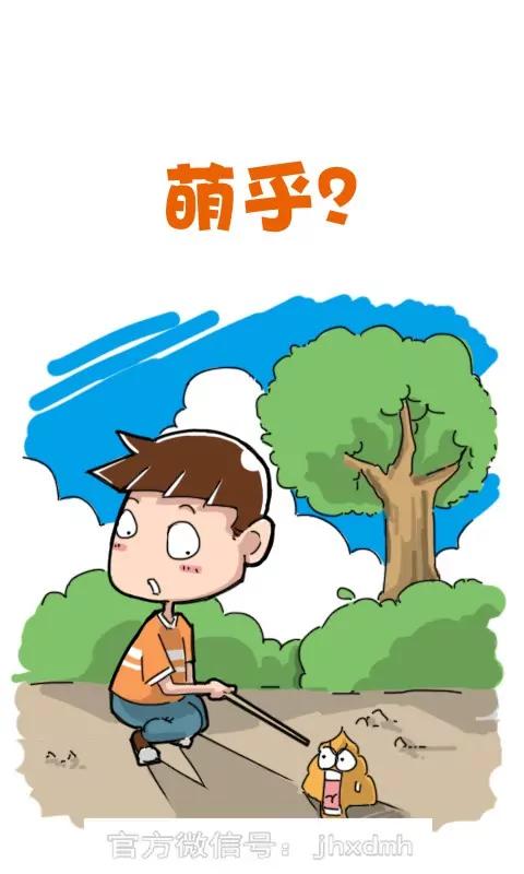 《菊花笑典》萌乎 第1页