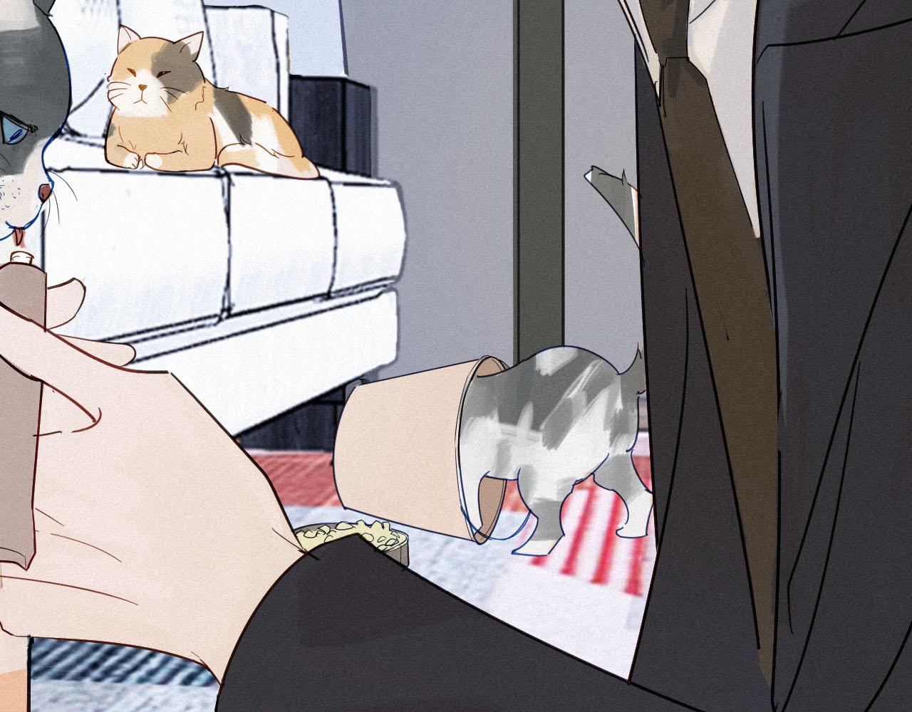 《一万光年》放开那个女孩 第6页