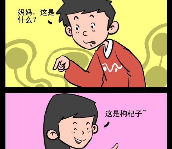 《枸杞》1 枸杞 第2页