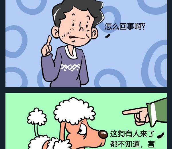 《枸杞》10 贵妇狗 第2页