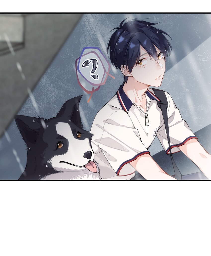 《你是我的未知项》chap.01 雨天、狗 第31页