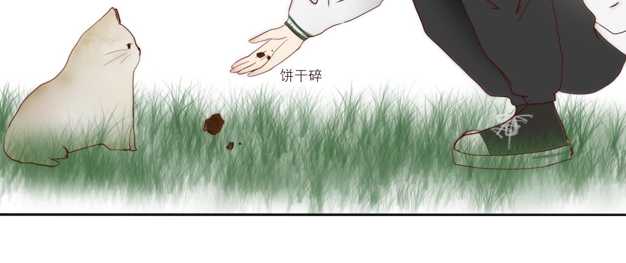 《如果星座说我们合适，那我就相信它》狮子座我把所有的饼干都给你！ 第30页