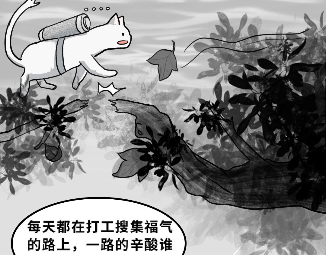 《福虎少年》第一章 福虎少年团集结 第25页
