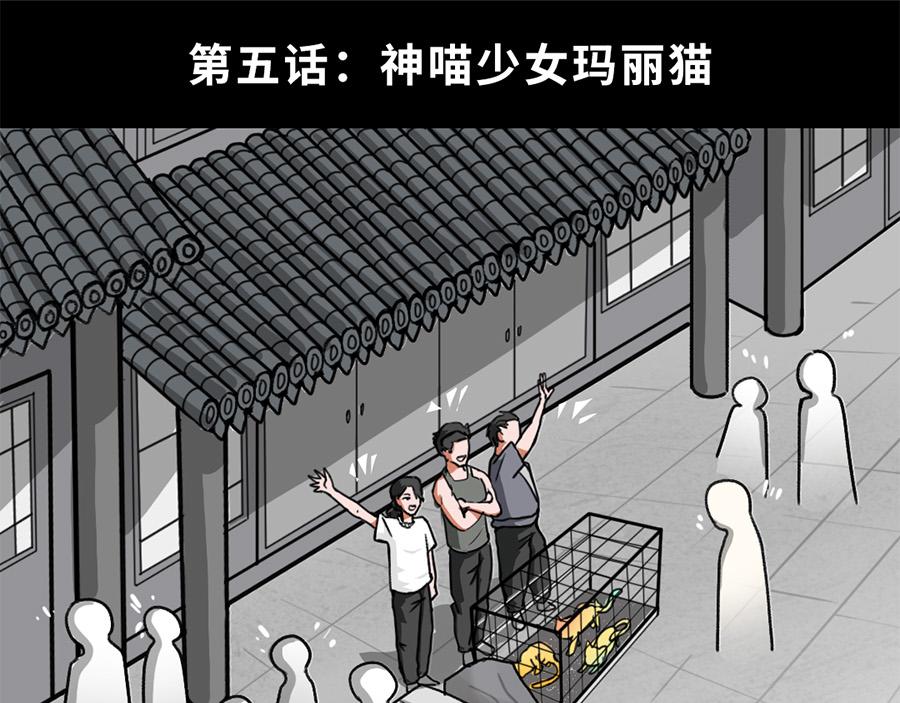 《福虎少年》第五章 神喵少女 第1页