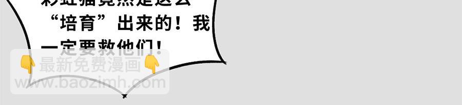 《福虎少年》第五章 神喵少女 第22页