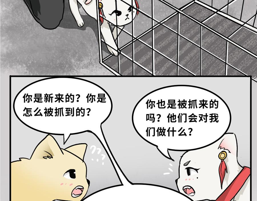 《福虎少年》第五章 神喵少女 第24页