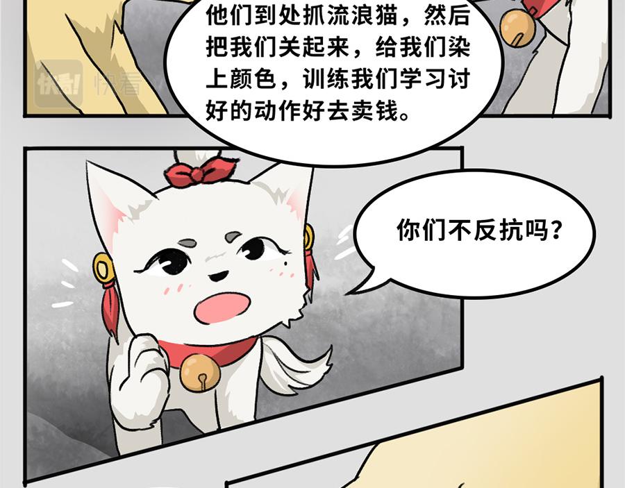 《福虎少年》第五章 神喵少女 第25页