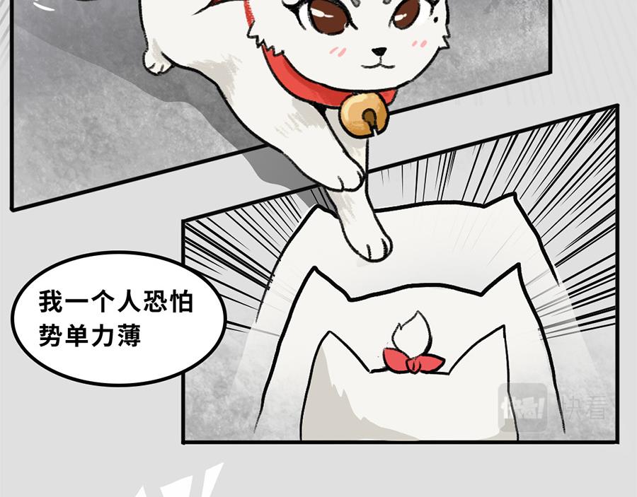 《福虎少年》第五章 神喵少女 第30页