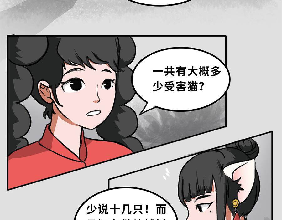 《福虎少年》第五章 神喵少女 第34页