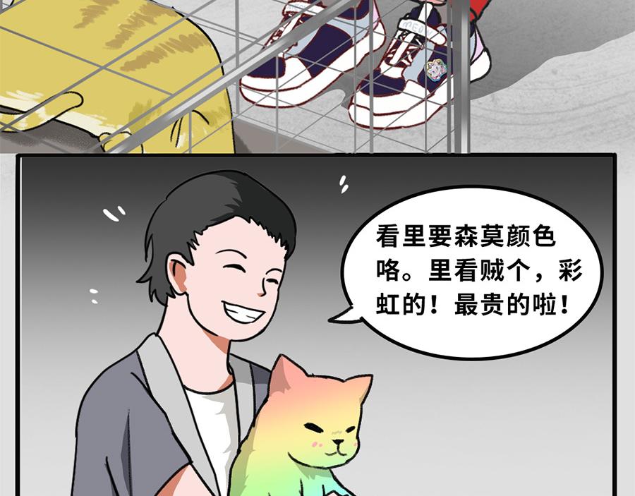 《福虎少年》第五章 神喵少女 第6页