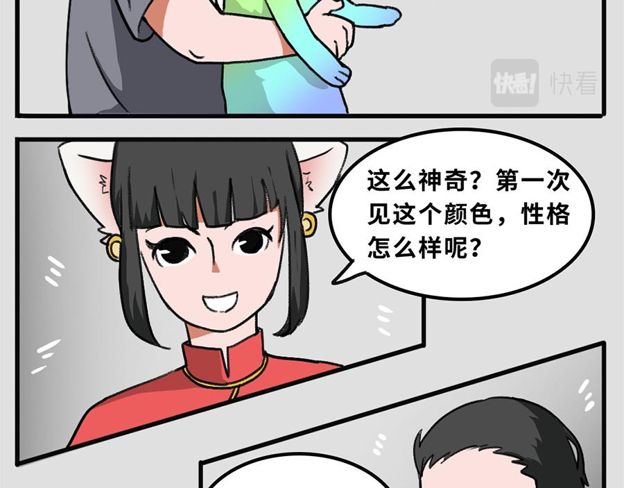 《福虎少年》第五章 神喵少女 第7页