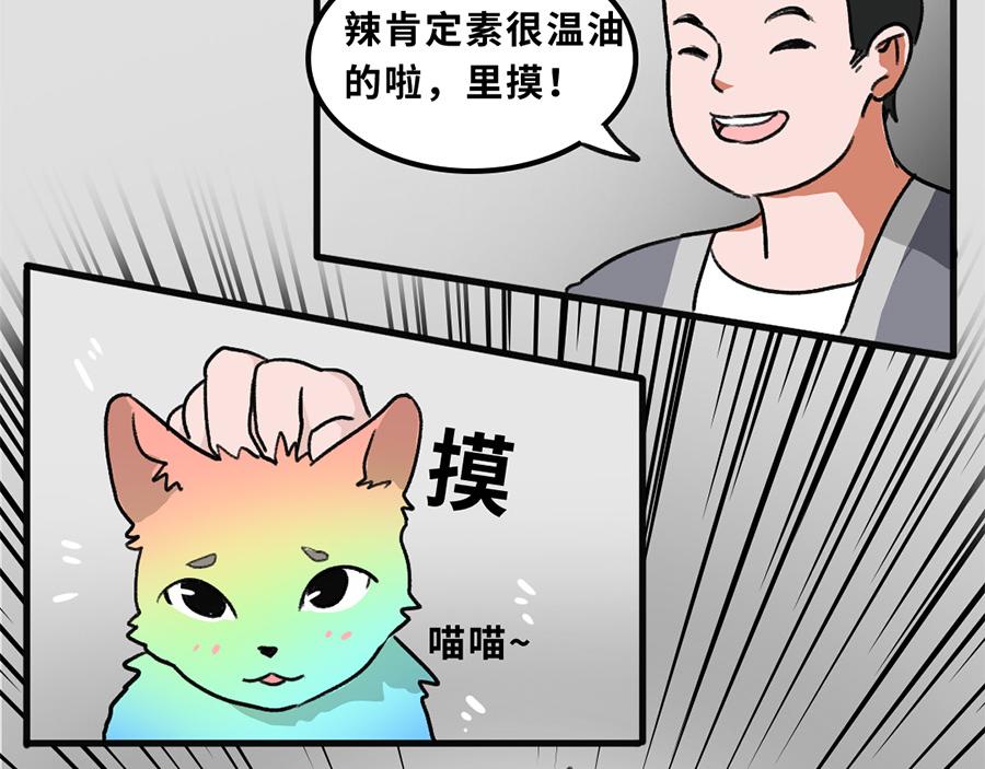 《福虎少年》第五章 神喵少女 第8页