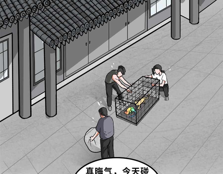 《福虎少年》第五章 神喵少女 第14页