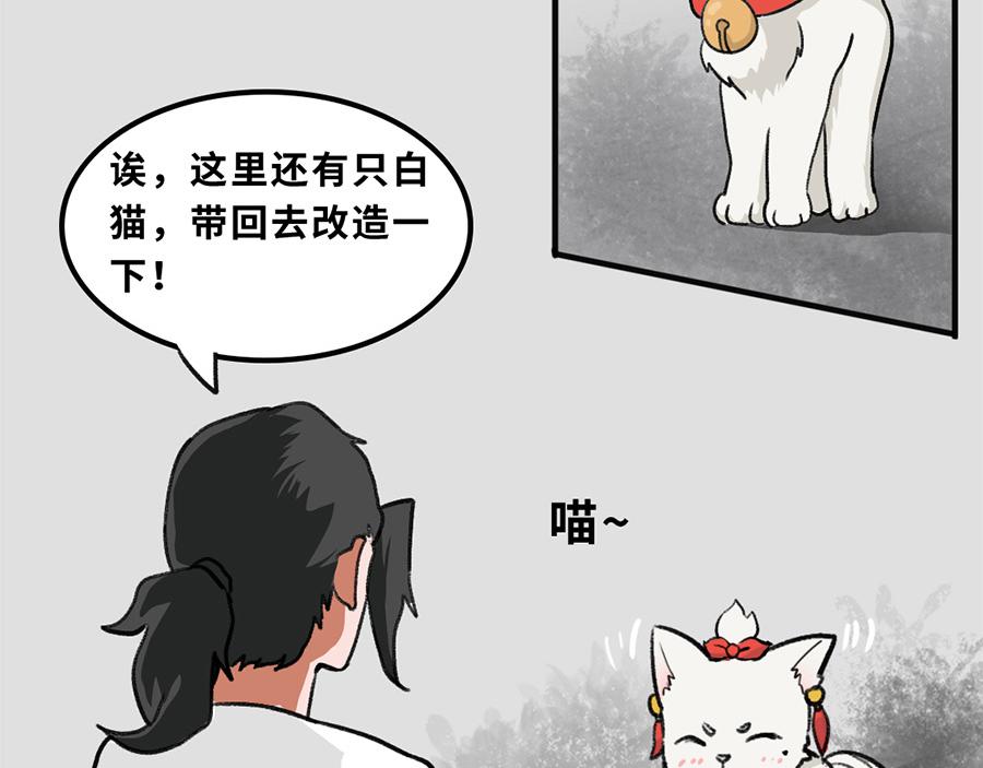 《福虎少年》第五章 神喵少女 第18页